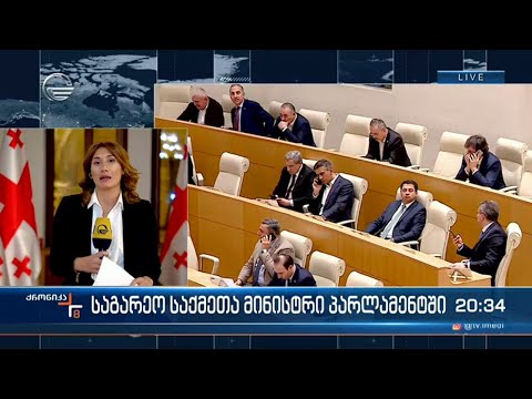 კანონმდებლები ილია დარჩიაშვილს უსმენენ